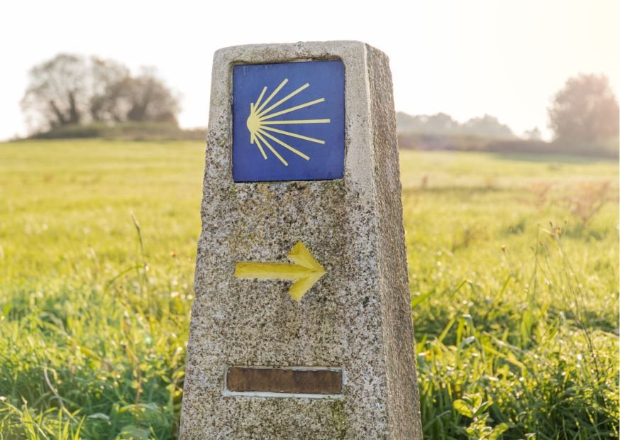 camino de santiago en grupo vip