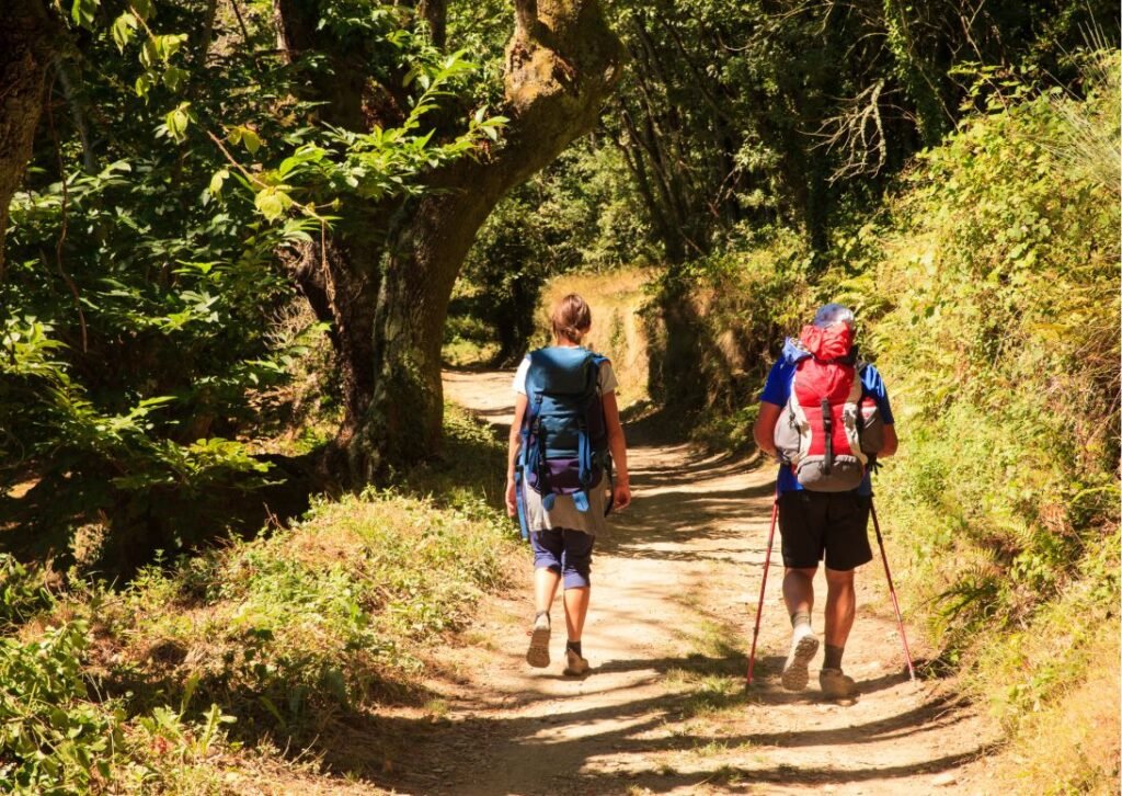 camino de santiago desde Sarria